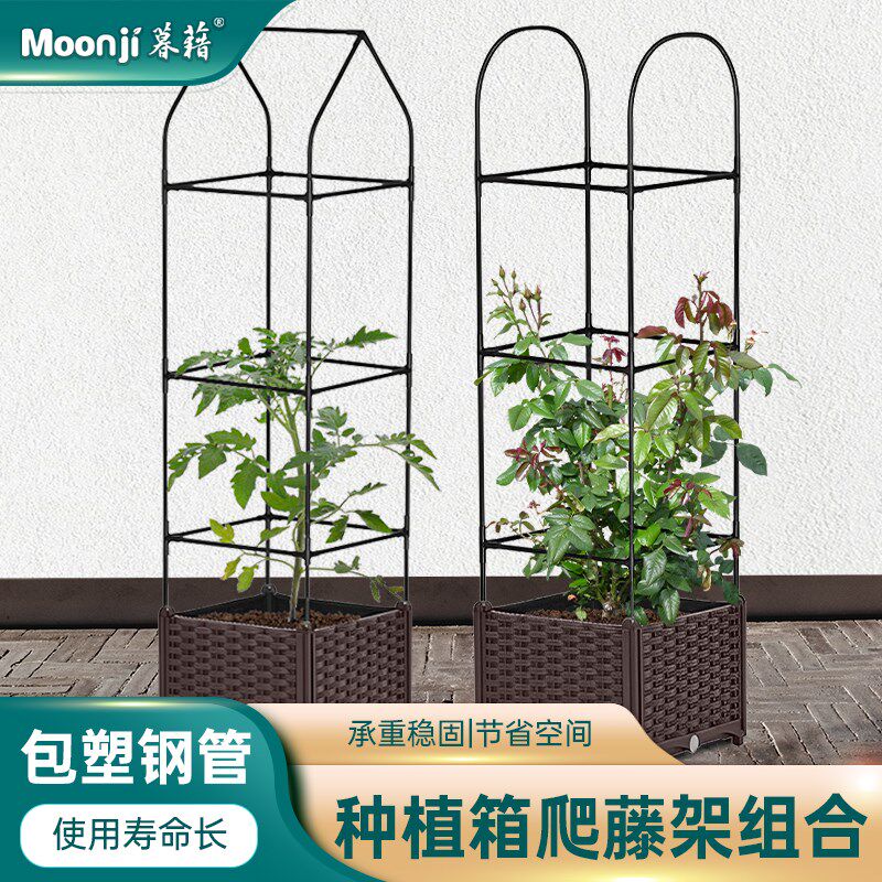种植箱种菜盆家庭小花盆屋顶菜园蔬菜菜盆阳台露台爬藤架室内户外