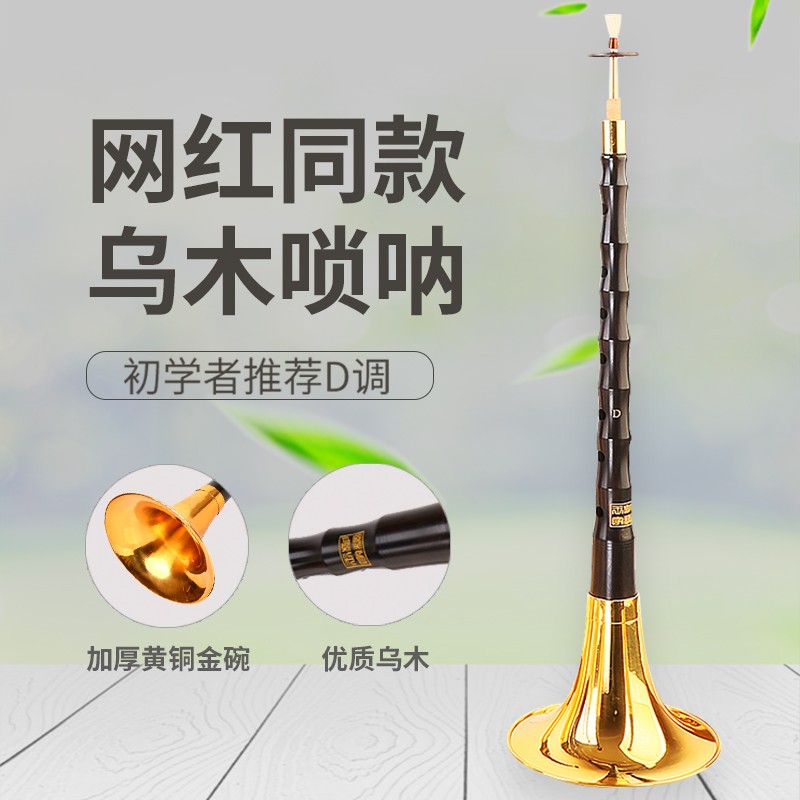 【王家彪】网红镀镍镀铬专业乌木唢呐乐器初学者全套喇叭入门专业