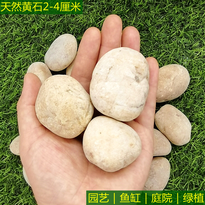 天然黄色鹅卵石园林铺路石黄蜡石水冲石黄硅石公园别墅园艺鱼池用