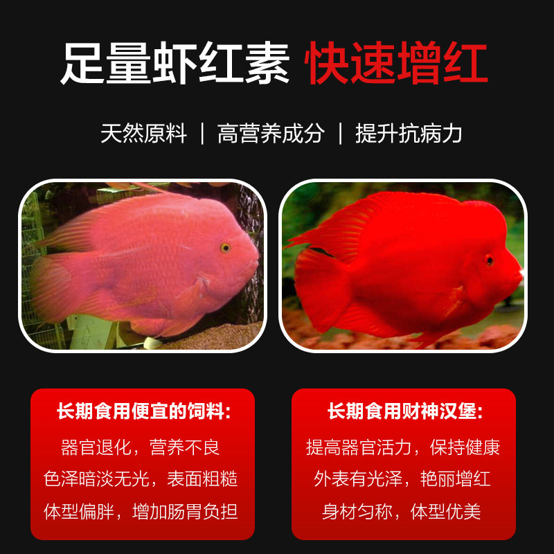 马来西亚金狮红财神增头饲料血鹦鹉鱼粮罗汉鱼高营养快速增红起头