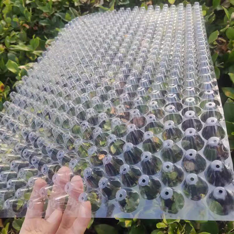 包邮抛秧盘水稻农用秧盆秧苗秧盆透明免揭塑料434孔561孔353秧盘