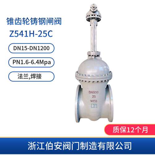 电动/伞齿轮铸钢法兰闸阀Z541H-254064大口径阀门厂家