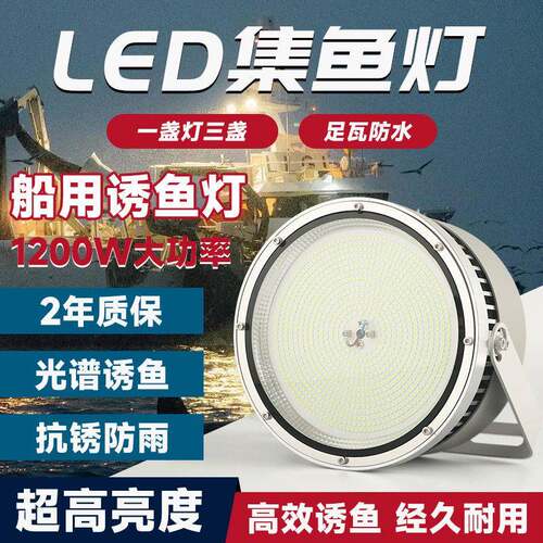 超亮LED集鱼灯光源渔船防水大功率诱鱼灯捕鱼夜钓青光灯珠厂家