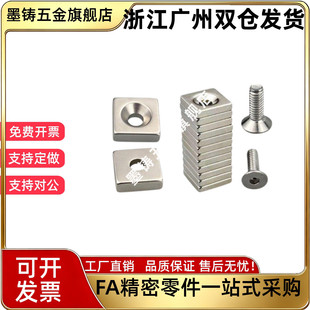 BLS70/71-A8/A10/A12/A15/A20/A25-T2/T3/T4/T4.5/T5/T5.5/T6磁铁