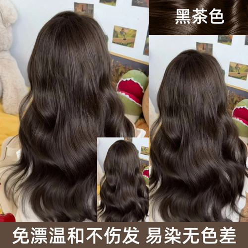 润丝丹黑茶色染发剂免漂温和不伤发易染自己在家染发无色差彩染膏