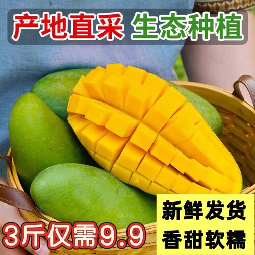 海南金煌芒 皮薄肉厚