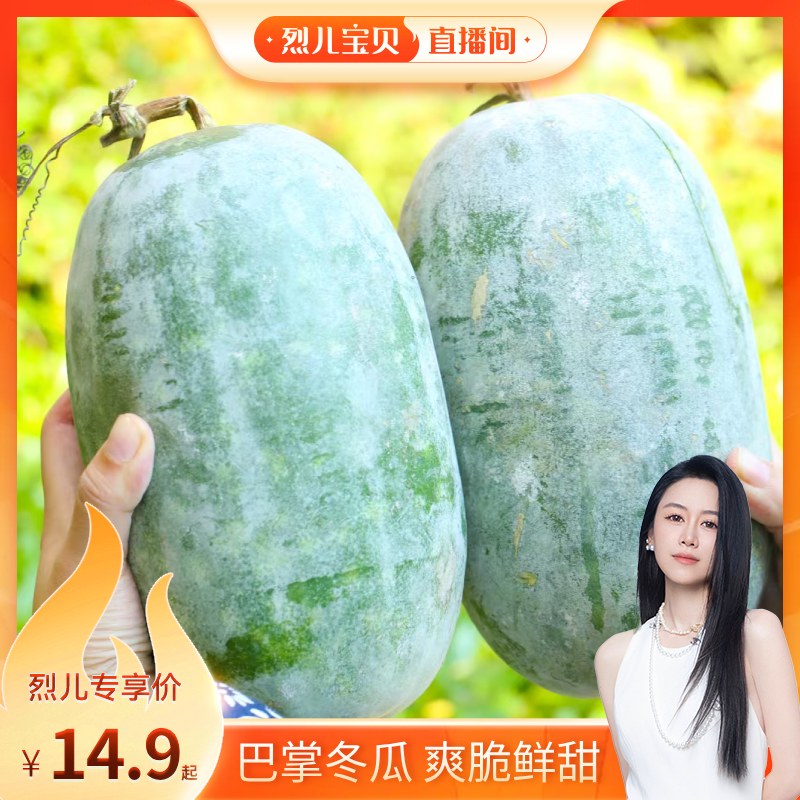 【烈儿宝贝直播间】河南小冬瓜夏季解暑冬瓜汤新鲜蔬菜应季包邮