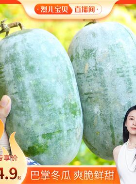 【烈儿宝贝直播间】河南小冬瓜夏季解暑冬瓜汤新鲜蔬菜应季包邮