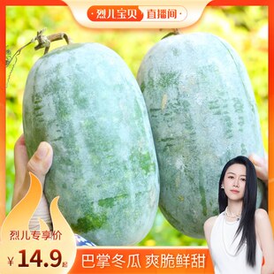 【烈儿宝贝直播间】河南小冬瓜夏季解暑冬瓜汤新鲜蔬菜应季包邮