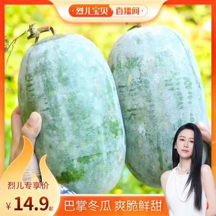 【烈儿宝贝直播间】山东小冬瓜夏季解暑冬瓜汤新鲜蔬菜应季包邮