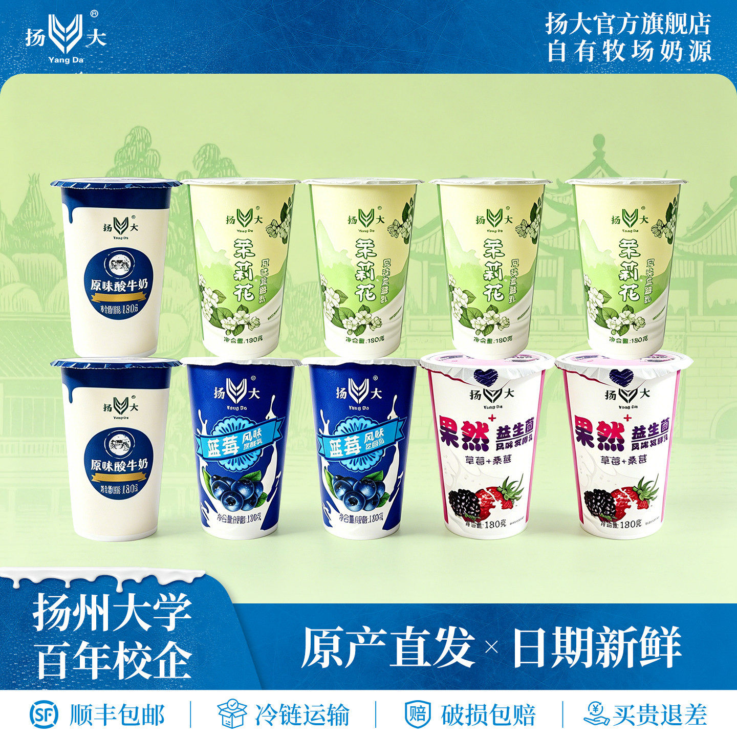 扬大酸奶扬州特产网红茉莉花酸奶