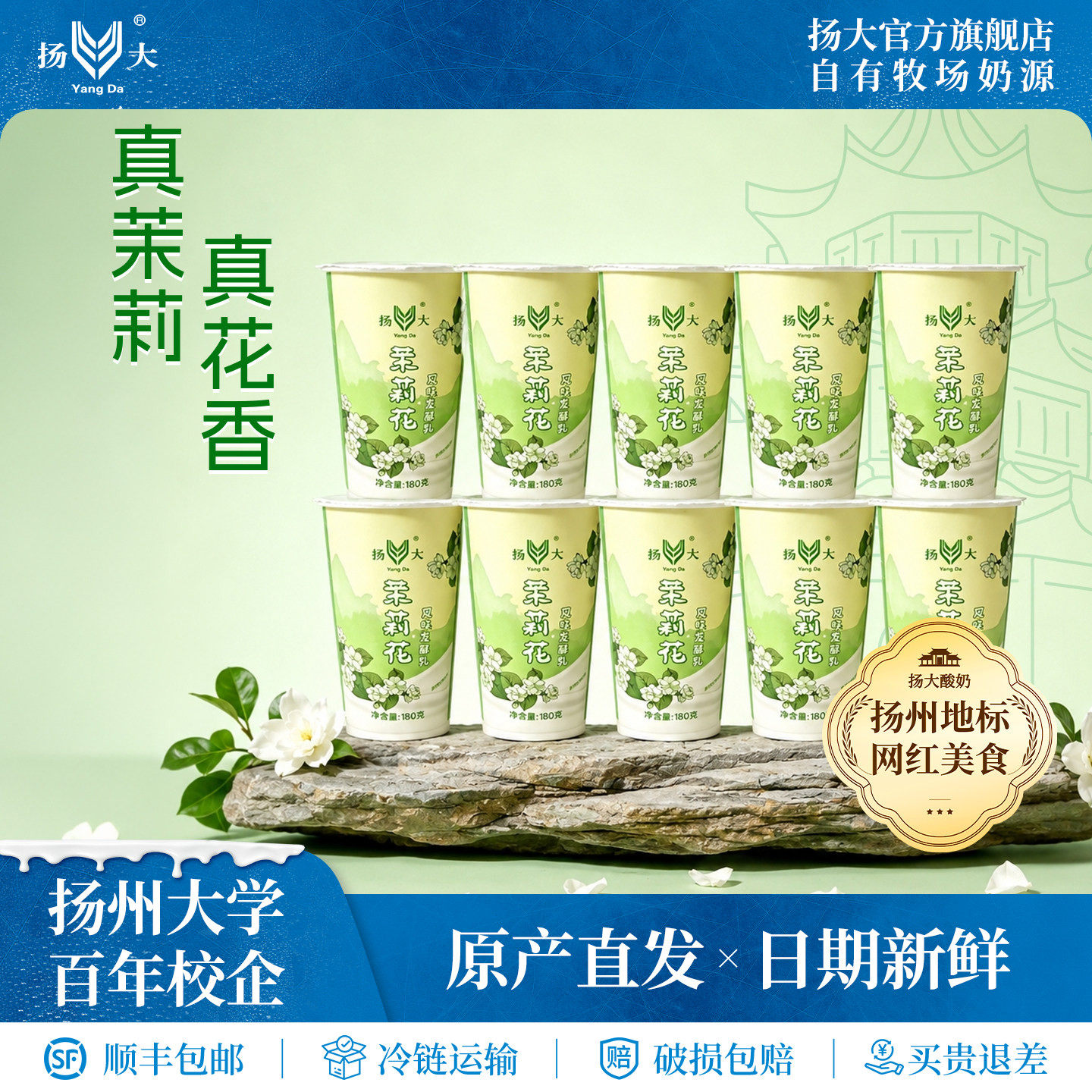 扬大酸奶扬州大学网红茉莉花低温酸奶10杯生牛乳酸牛奶风味发酵乳