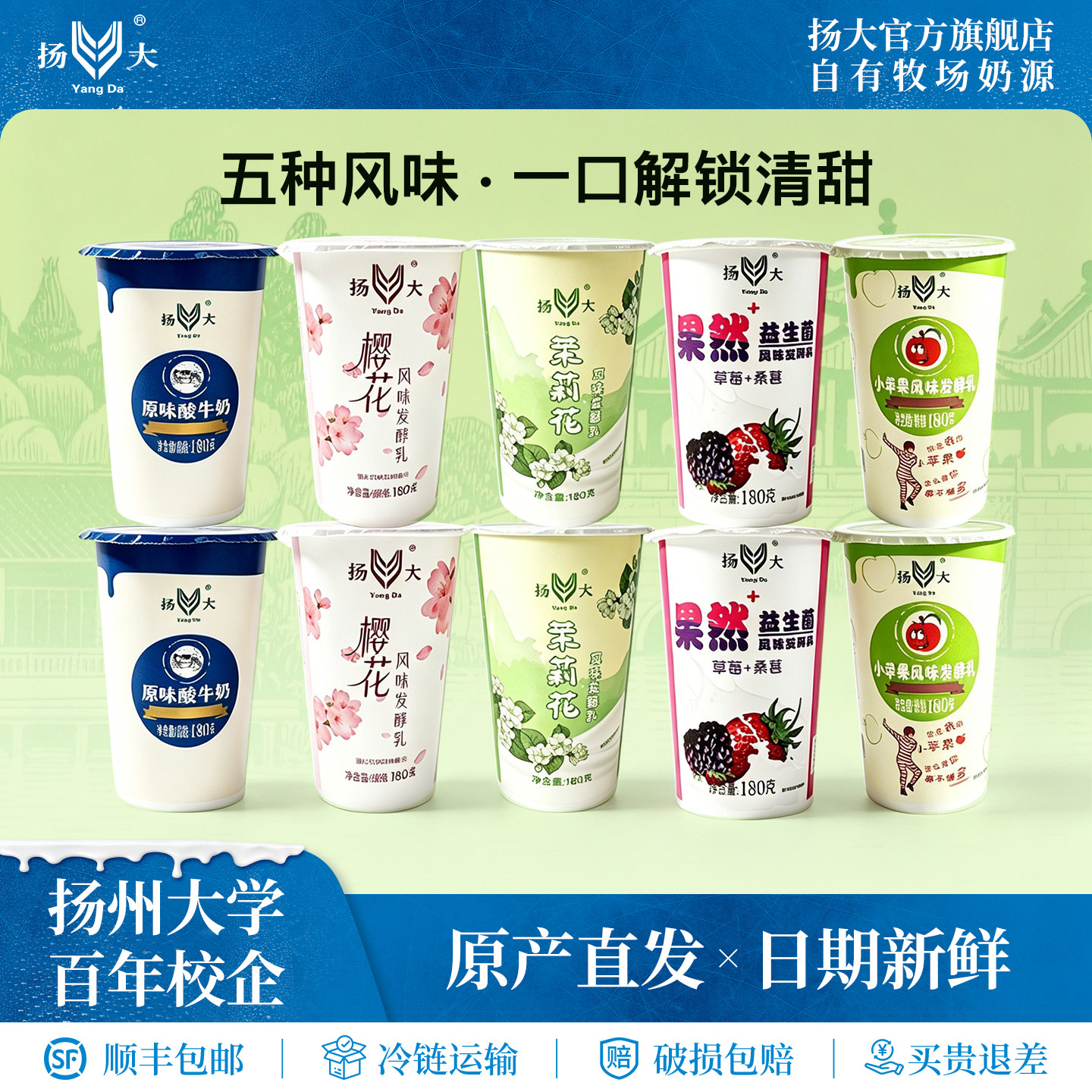 扬大酸奶扬州大学网红茉莉花低温酸奶生牛乳原味酸牛奶发酵乳10杯