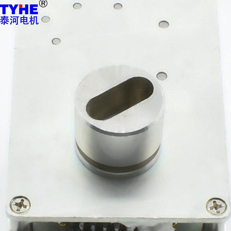 甄选泰河农业灌溉双通阀门电机智能马达3.7V2W低速低功耗直流速电
