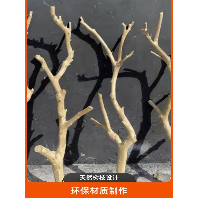 原木干树枝干花装饰树枝造景枯木干枝树枝橱窗花艺装饰艺术干支
