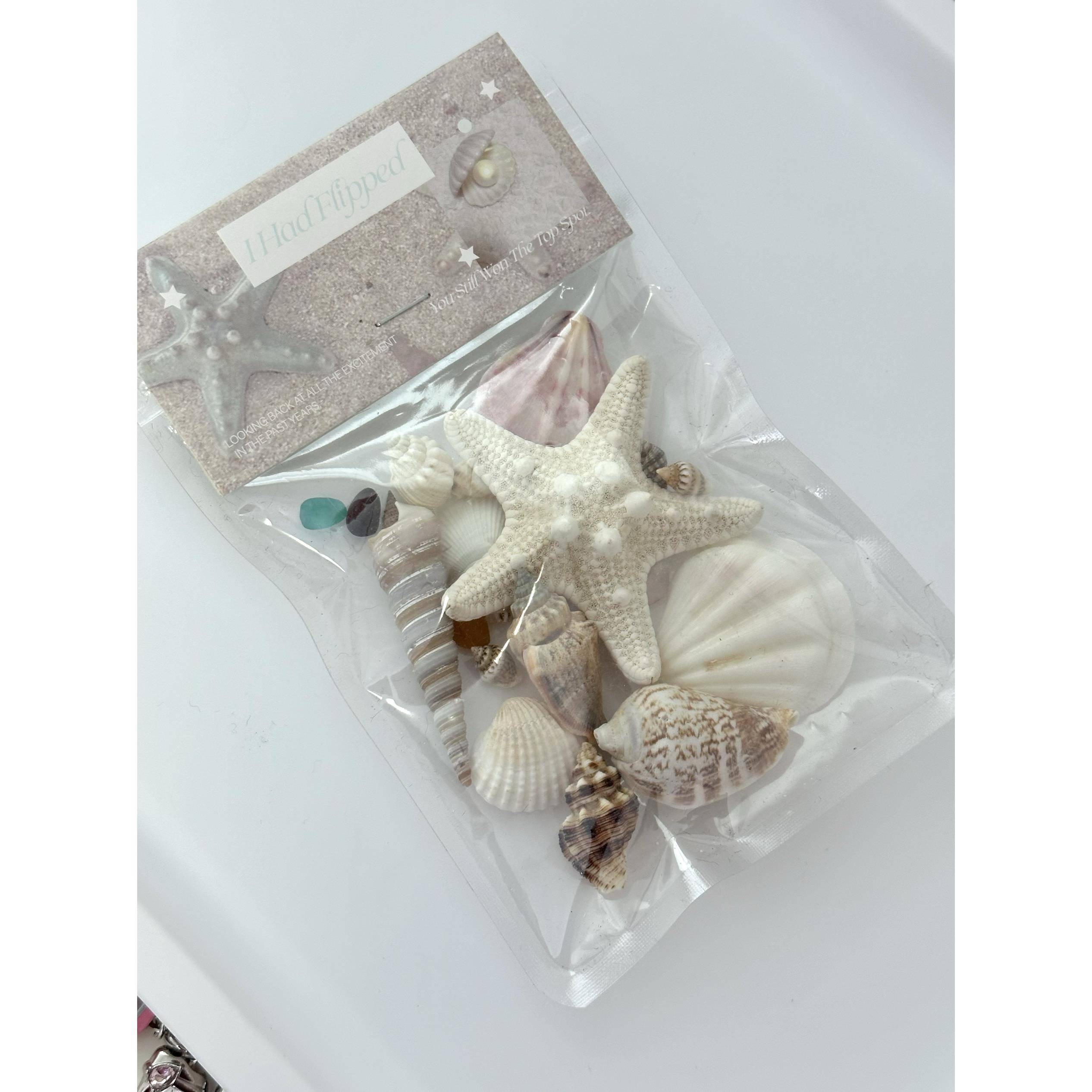天然贝壳海螺扇贝海星ins拍照道具标本diy材料装饰