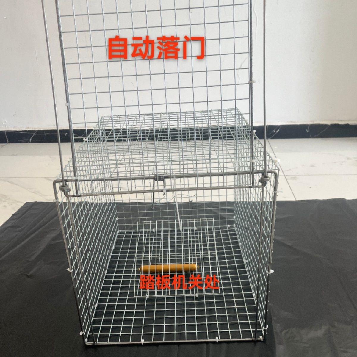 新款踏板天落笼机关滑门笼家用鸡鸽鸭猫回收养殖笼进不出自动鸟笼