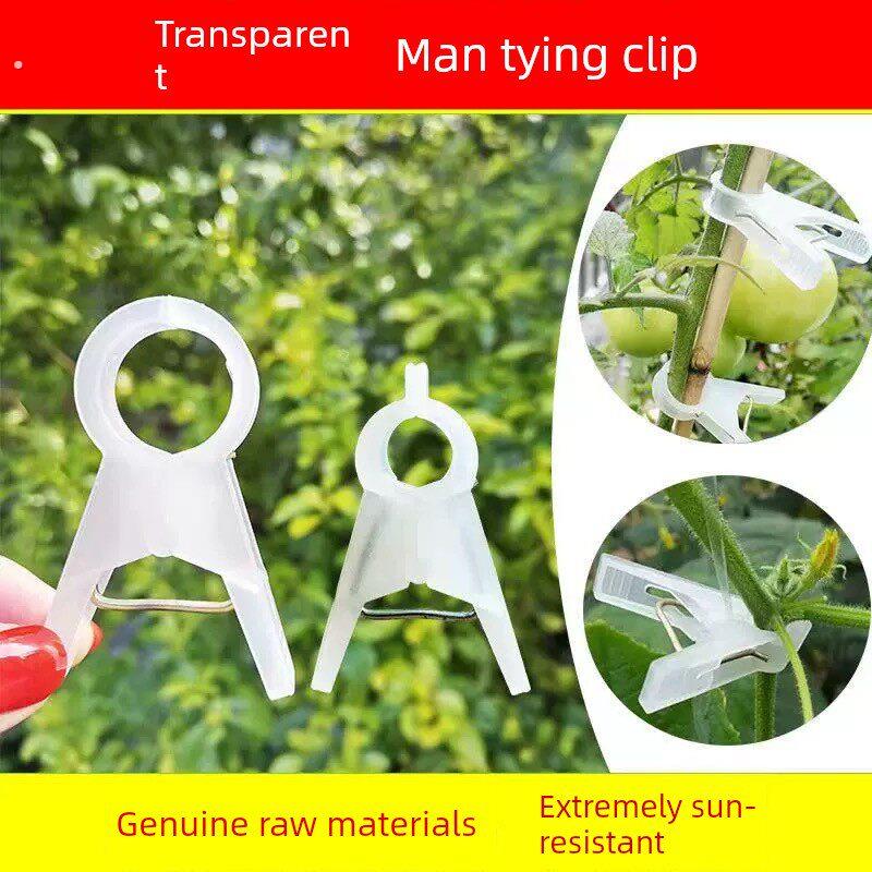 吊秧夹子大棚黄瓜西红柿吊秧夹番茄子农用吊蔓扶蔓绑蔓夹落秧夹子