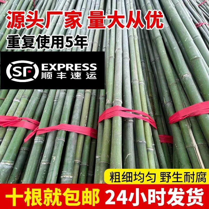 菜园搭架竹竿黄瓜架豆角架丝瓜番茄辣椒菜架竹杆阳台爬藤杆装饰