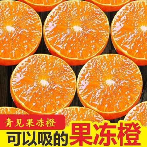 【下单立减50】四川当季青见果冻橙新鲜水果酸甜多汁橙子柑橘