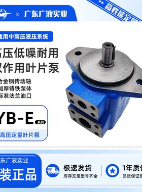 叶E泵YB-E160高压油泵YB-E500/E16/E22/E32/片40/E50/E63/E80
