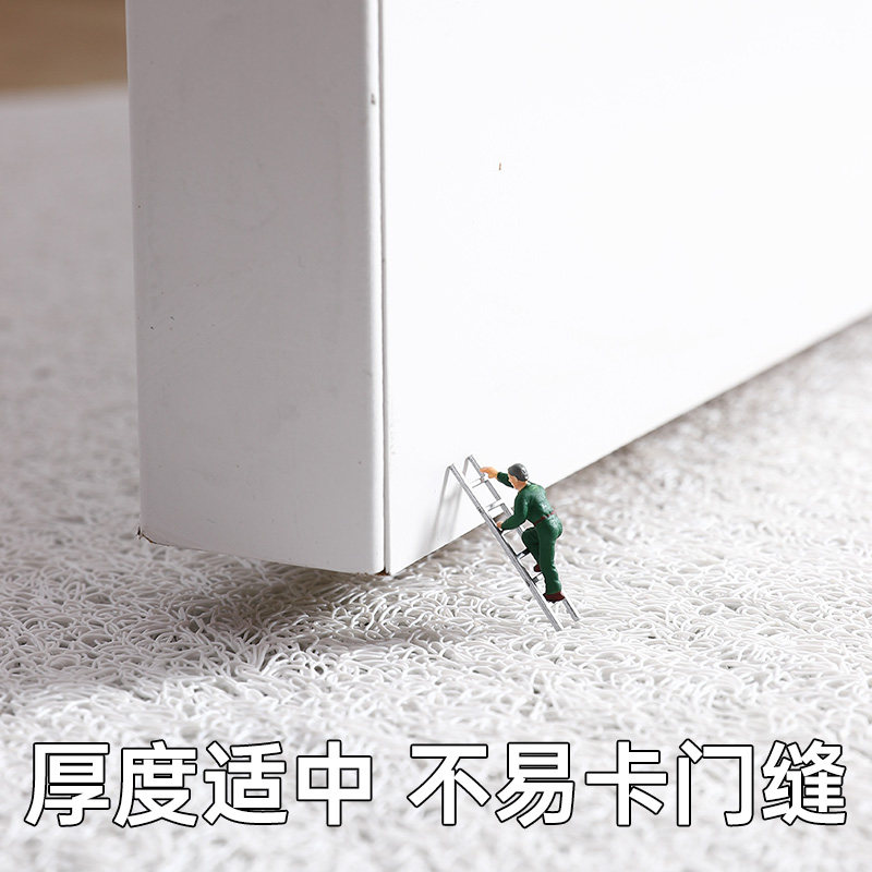 入户门地垫丝圈门垫家用进门脚垫门口垫子加厚可剪裁防滑地毯定制