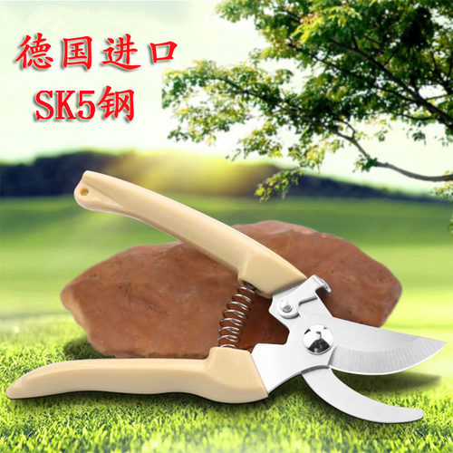 园林剪刀修枝剪花艺剪刀修花剪刀盆景园艺剪果树剪刀修剪树枝剪刀