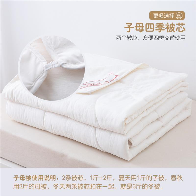 幼儿园被子儿童床上用品棉被空调被宝宝午睡被芯婴儿被褥春秋被