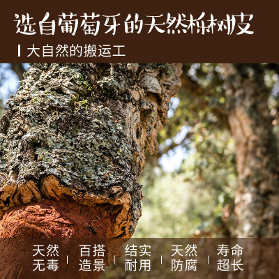 爬虫爬宠葡萄牙天然树皮树洞造景躲避洞穴晒台陆龟蜥蜴树蛙蛇树皮