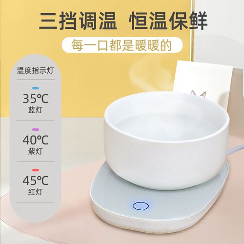 猫咪恒温饮水机自动加热水碗宠物喂水冬天保温陶瓷喝水器狗狗用品