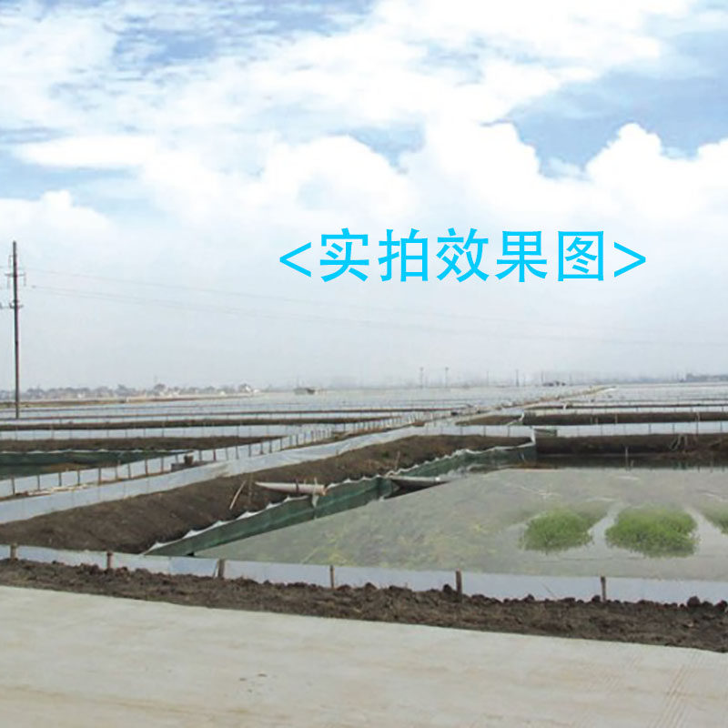 龙虾螃蟹防逃膜加厚膜白色30-80高防逃白膜蟹塘围板防逃网用白膜