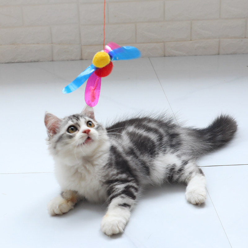 招蜂引蝶逗猫棒自嗨耐咬羽毛小猫玩具猫解闷磨牙棒猫咪用品猫玩具