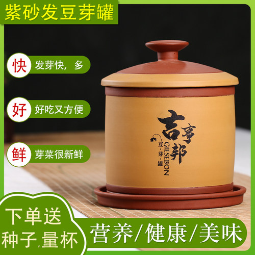 四季豆发天然容砂豆芽罐大紫量可芽机可发多种豆芽菜苗家用健康