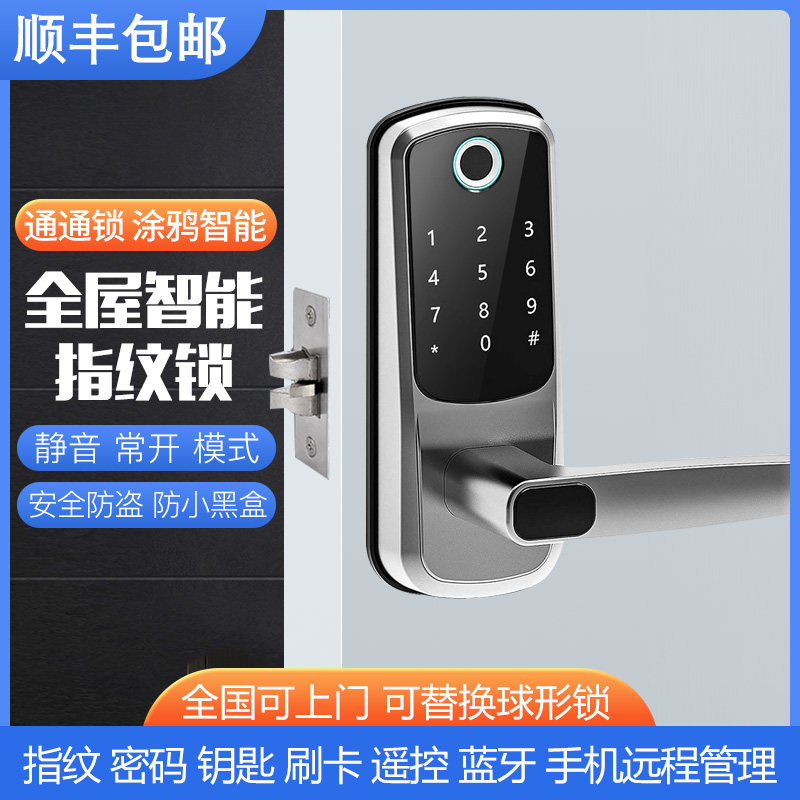 智能办纹锁涂鸦通通锁指内室公木门公寓酒店出租屋球形电子密码锁