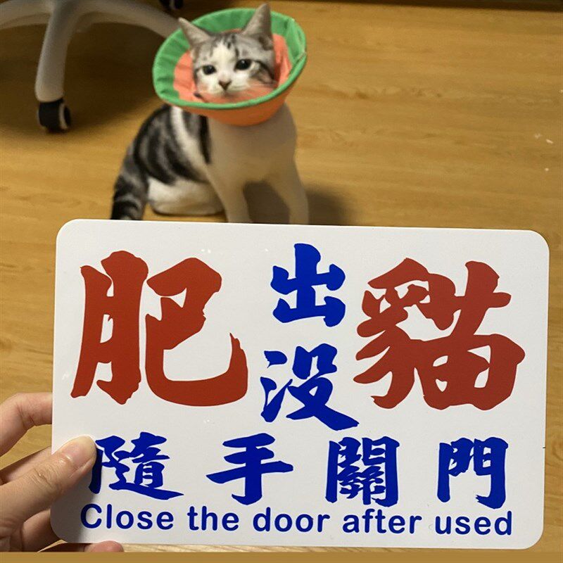 内有肥猫出随没手关门小心出入夹尾提示牌敬星挂牌顽皮喵告人遛逃