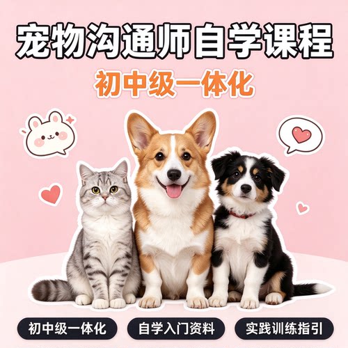 宠物沟通师自学课程 初中级动物沟通课程 新手入门到实践训练资料