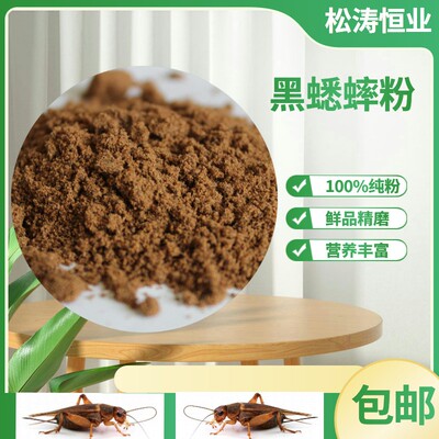 蟋蟀粉纯蟋蟀全粉干粉蜥蜴睫角巨人守宫鬃狮辅佐营养粉果泥粮饲料