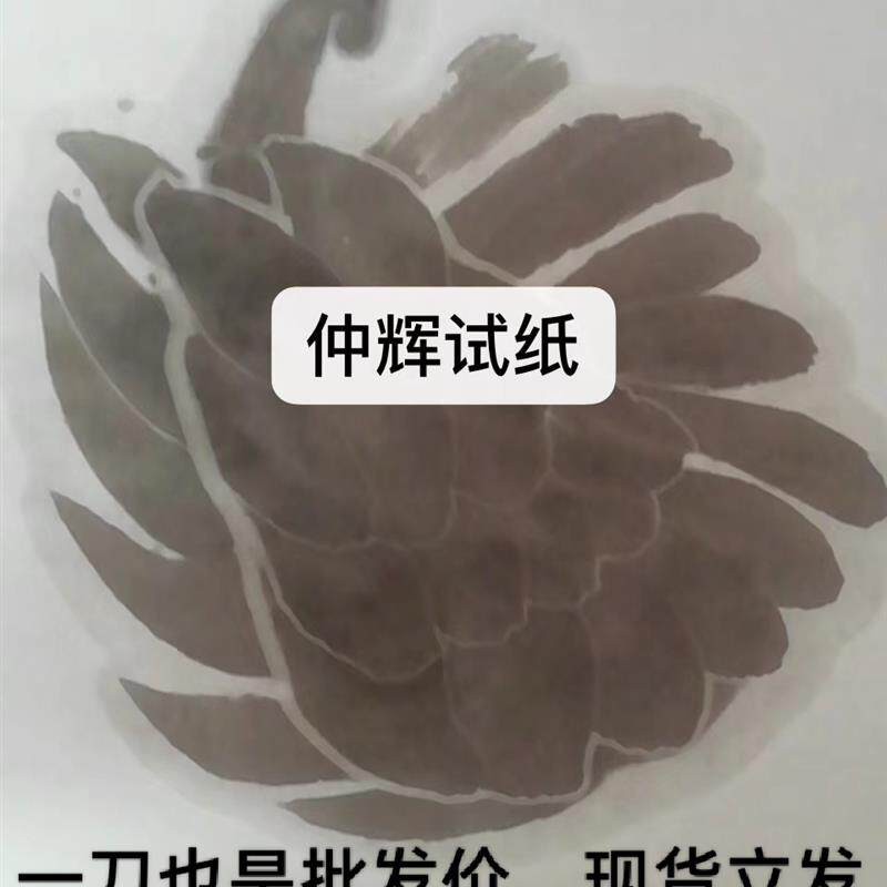 仲辉檀皮宣加厚半手工特净艺考书法山水花鸟鱼虾墨痕四尺六尺生宣