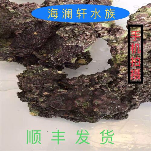 活石珊瑚石死石远海高钙活石头海水缸造景免爆藻造景胶海水鱼海藻