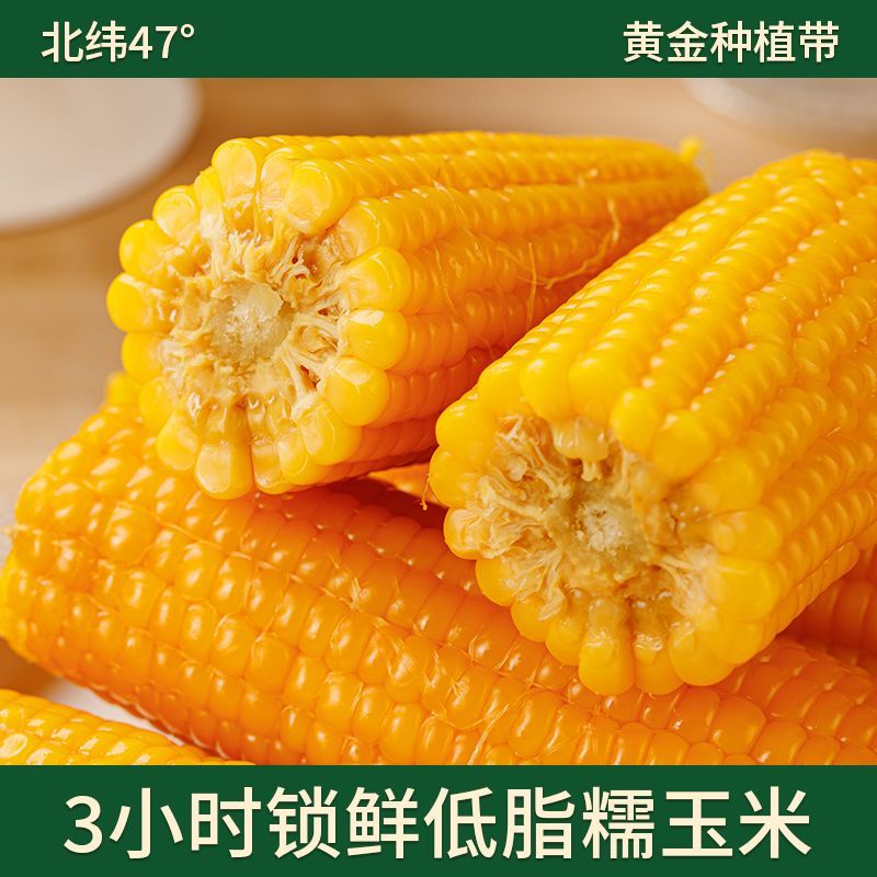 东北黑土地糯玉米粘糯甜新鲜批发低脂代餐黄玉米黄玉米真空锁鲜