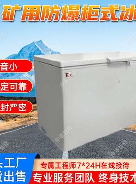 矿用防爆柜式冰箱厂家出售卧式存储型冰柜矿用防爆立式冰柜