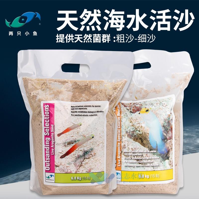 两只小鱼活沙细砂粗砂含天然菌群海水族鱼缸沙子免洗海缸底沙底砂