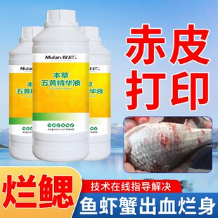 本草五黄精华液水产养殖专用腐皮烂腮烂身烂尾三黄五黄散