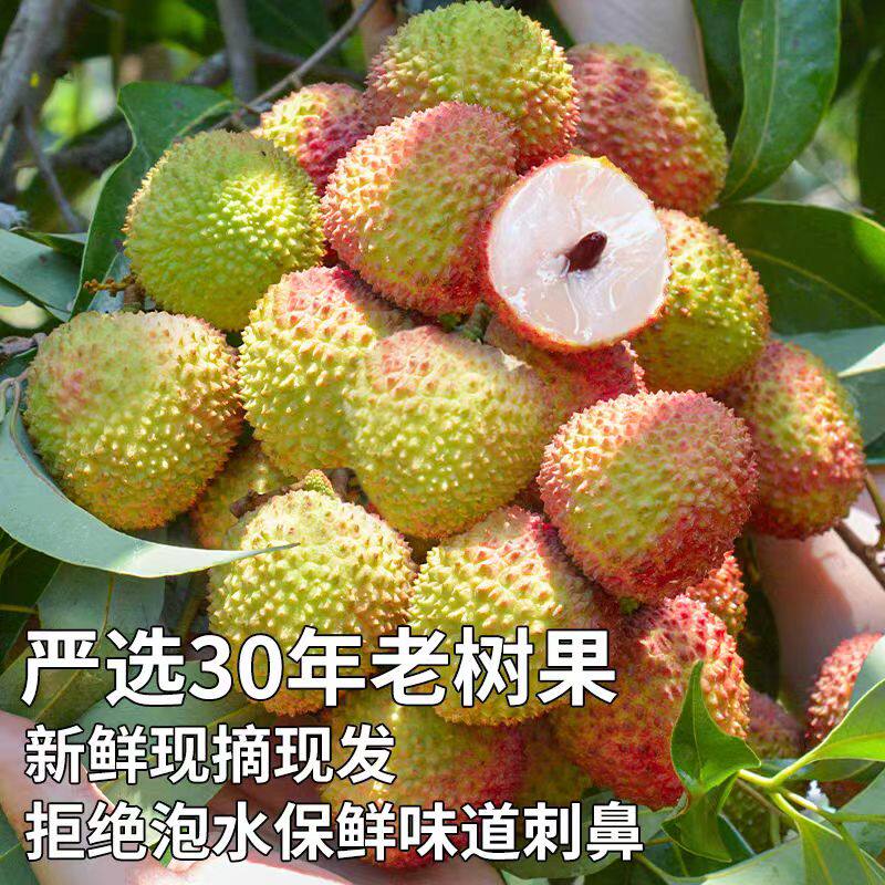 海南三亚30年老树荔枝新鲜现摘现发妃子笑冰荔-4