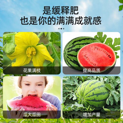 西瓜专用肥料水溶肥营养液有机复合肥病全治家用育苗增甜膨果通用