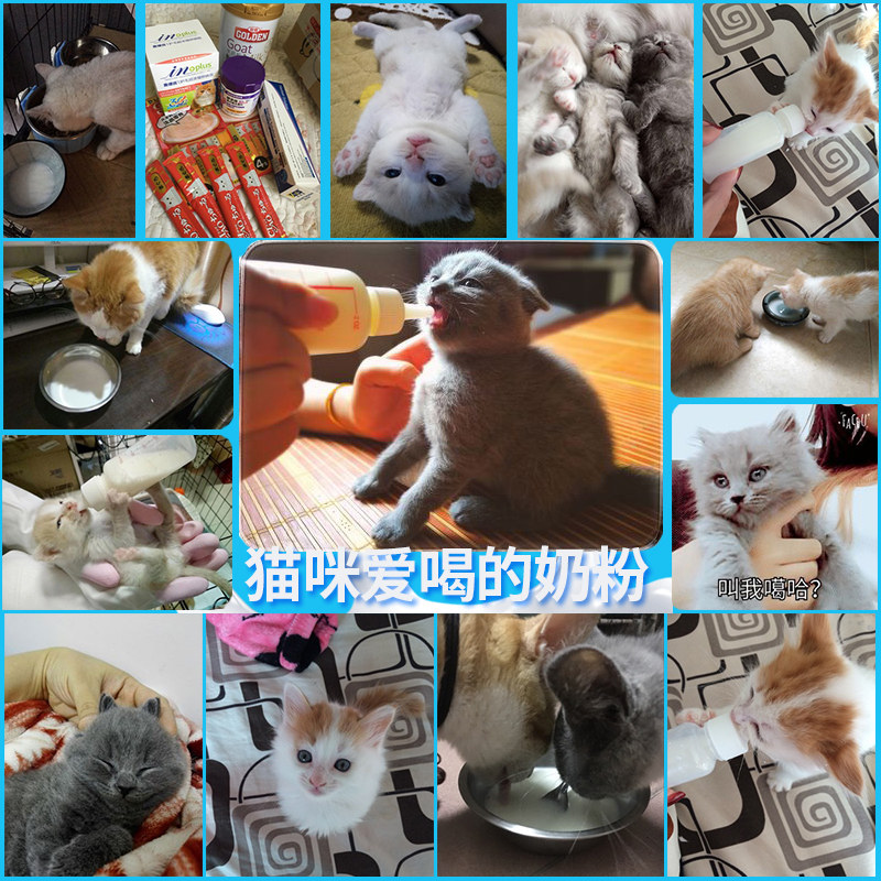 谷登羊奶粉猫奶粉狗狗猫咪幼犬幼猫专用宠物母猫新生奶糕营养