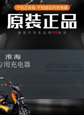 淮海电动二轮三58电瓶充电器原装4车V12AH60V45AH72伏轮0安80V96V