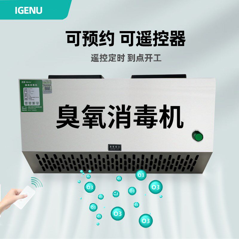 IG壁挂式臭氧发生器垃圾房除臭设备车气净化食品厂空间臭消氧毒机