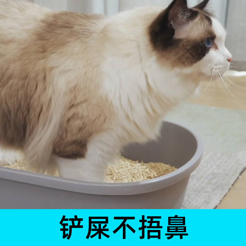 猫殿下豆腐猫砂6L除臭无尘结团猫沙豆腐砂宠物用品可冲厕所4包装