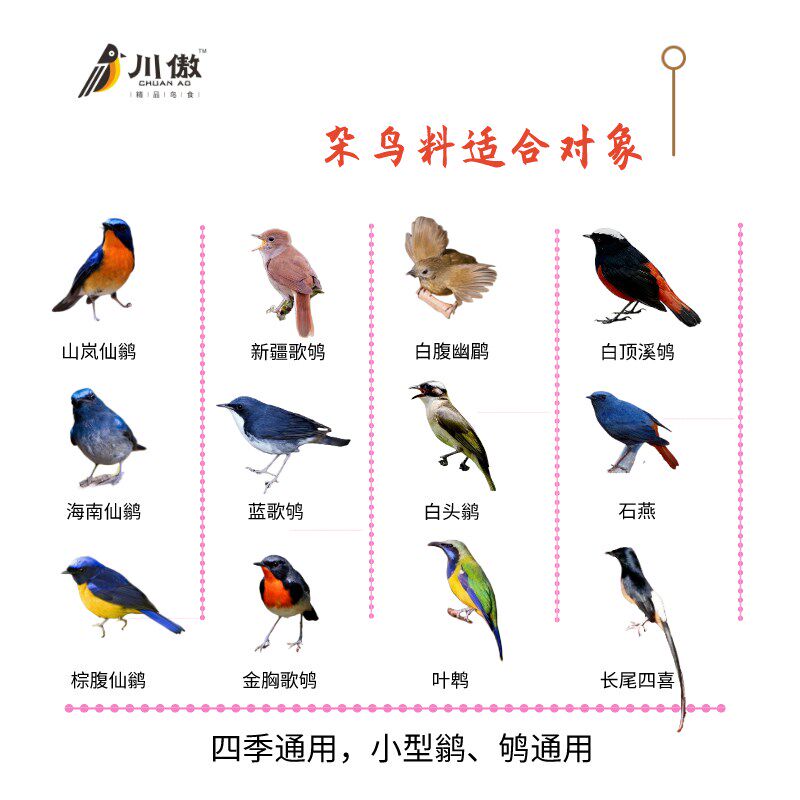 川傲杂鸟料鹟科专用鸟饲料食粮山岚白腹幽鹛歌鸲石燕长尾四季通料